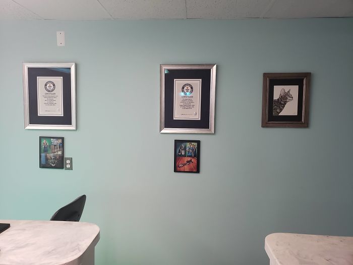 People Said We'd Fail, But My Family Clinic With Video Games And Therapy Cats Is Full Only 6 Months After Opening People Said We'd Fail, But My Family Clinic With Video Games And Therapy Cats Is Full Only 6 Months After Opening