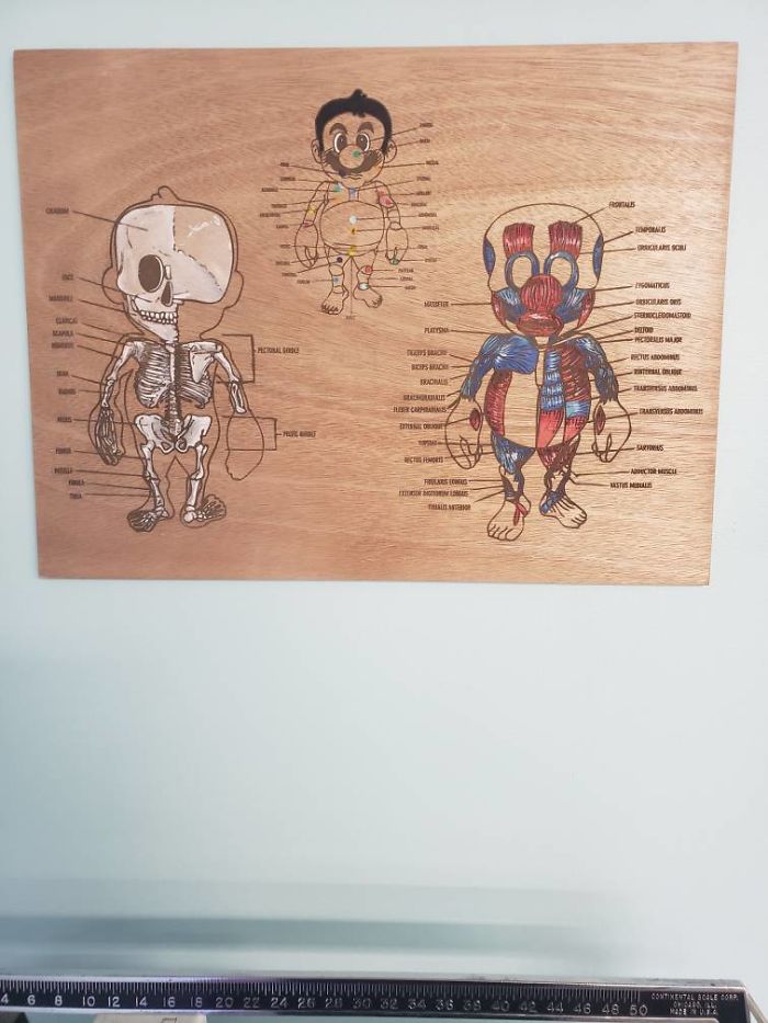 People Said We'd Fail, But My Family Clinic With Video Games And Therapy Cats Is Full Only 6 Months After Opening People Said We'd Fail, But My Family Clinic With Video Games And Therapy Cats Is Full Only 6 Months After Opening