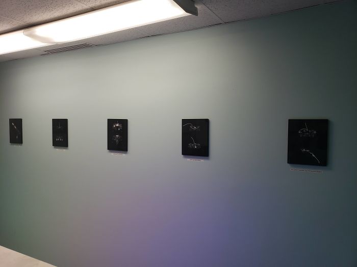 People Said We'd Fail, But My Family Clinic With Video Games And Therapy Cats Is Full Only 6 Months After Opening People Said We'd Fail, But My Family Clinic With Video Games And Therapy Cats Is Full Only 6 Months After Opening