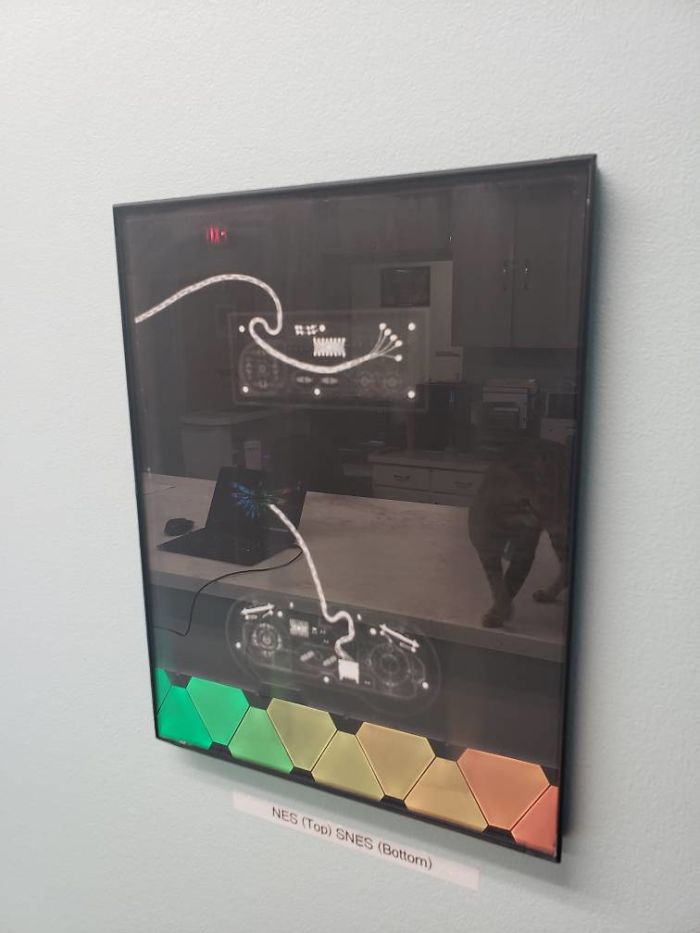 People Said We'd Fail, But My Family Clinic With Video Games And Therapy Cats Is Full Only 6 Months After Opening