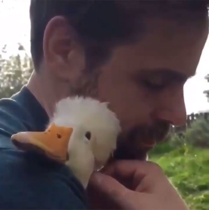 A cute duck snuggles affectionately with a person outdoors.