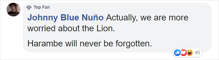 Woman Climbs Into A Lion Enclosure In A Bold Display Of Stupidity Woman Climbs Into A Lion Enclosure In A Bold Display Of Stupidity