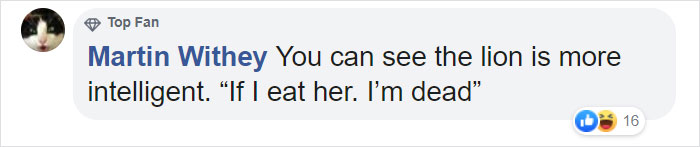 Woman Climbs Into A Lion Enclosure In A Bold Display Of Stupidity Woman Climbs Into A Lion Enclosure In A Bold Display Of Stupidity