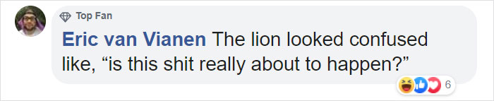 Woman Climbs Into A Lion Enclosure In A Bold Display Of Stupidity