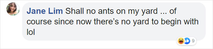 Man Accidentally Blows Up His Entire Backyard While Trying To Get Rid Of Cockroaches