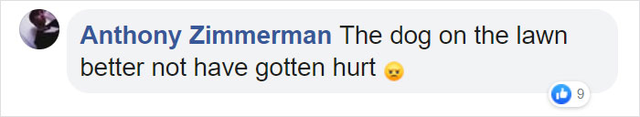 Man Accidentally Blows Up His Entire Backyard While Trying To Get Rid Of Cockroaches Man Accidentally Blows Up His Entire Backyard While Trying To Get Rid Of Cockroaches