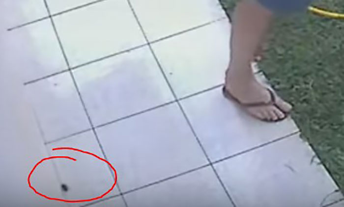 Man Accidentally Blows Up His Entire Backyard While Trying To Get Rid Of Cockroaches Man Accidentally Blows Up His Entire Backyard While Trying To Get Rid Of Cockroaches