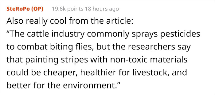 Scientists Are Amazed After Painting Cows In Zebra Stripes - They Get Bitten 50% Less Than Usual Scientists Are Amazed After Painting Cows In Zebra Stripes - They Get Bitten 50% Less Than Usual