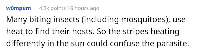 Scientists Are Amazed After Painting Cows In Zebra Stripes - They Get Bitten 50% Less Than Usual Scientists Are Amazed After Painting Cows In Zebra Stripes - They Get Bitten 50% Less Than Usual