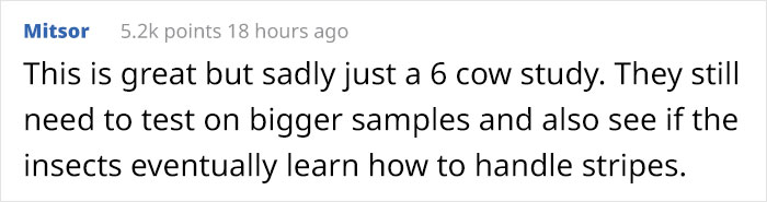 Scientists Are Amazed After Painting Cows In Zebra Stripes - They Get Bitten 50% Less Than Usual Scientists Are Amazed After Painting Cows In Zebra Stripes - They Get Bitten 50% Less Than Usual