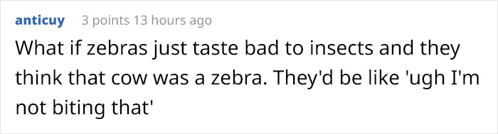 Scientists Are Amazed After Painting Cows In Zebra Stripes - They Get Bitten 50% Less Than Usual Scientists Are Amazed After Painting Cows In Zebra Stripes - They Get Bitten 50% Less Than Usual