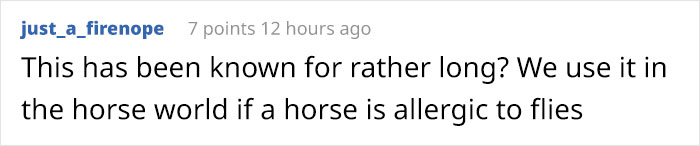 Scientists Are Amazed After Painting Cows In Zebra Stripes - They Get Bitten 50% Less Than Usual Scientists Are Amazed After Painting Cows In Zebra Stripes - They Get Bitten 50% Less Than Usual