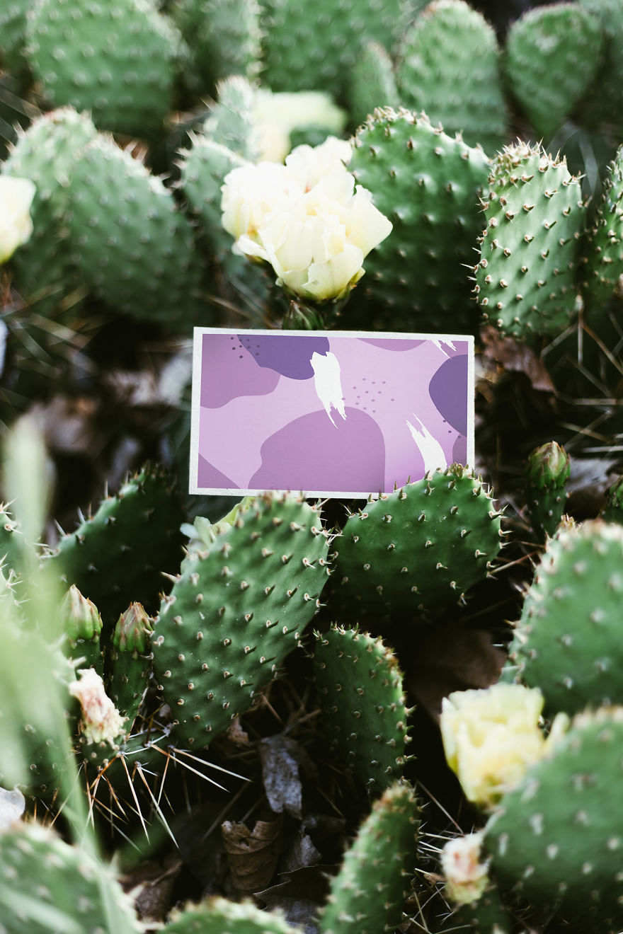 Epi(C)lepsy Illustrations Or What's In My Head