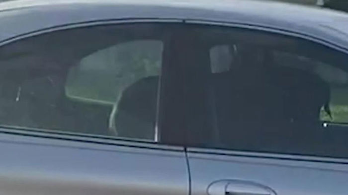 Video Footage Shows Dog Accidentally Starting His Owner's Car And Driving In Circles For An Hour