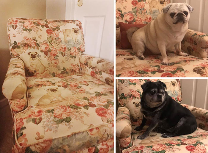 I Found This In A Consignment/Thrift Shop In Evansville Indiana