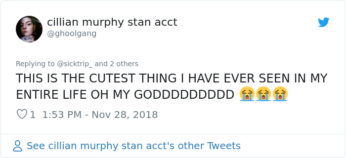 This Woman Makes Mattresses For Rats As Well As Matching Pajamas, And They're Adorable This Woman Makes Mattresses For Rats As Well As Matching Pajamas, And They're Adorable