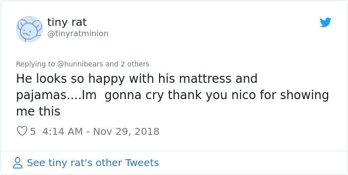 This Woman Makes Mattresses For Rats As Well As Matching Pajamas, And They're Adorable This Woman Makes Mattresses For Rats As Well As Matching Pajamas, And They're Adorable