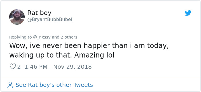 This Woman Makes Mattresses For Rats As Well As Matching Pajamas, And They're Adorable This Woman Makes Mattresses For Rats As Well As Matching Pajamas, And They're Adorable