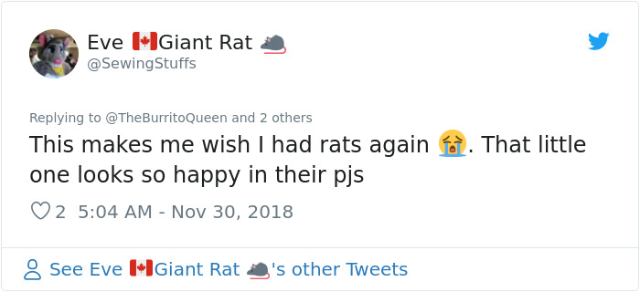 This Woman Makes Mattresses For Rats As Well As Matching Pajamas, And They're Adorable This Woman Makes Mattresses For Rats As Well As Matching Pajamas, And They're Adorable
