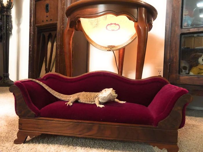 Found In Monroe Washington. I Knew I Needed It, But Didn’t Know Why Until This