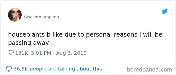 Funny-Tweets-By-Women