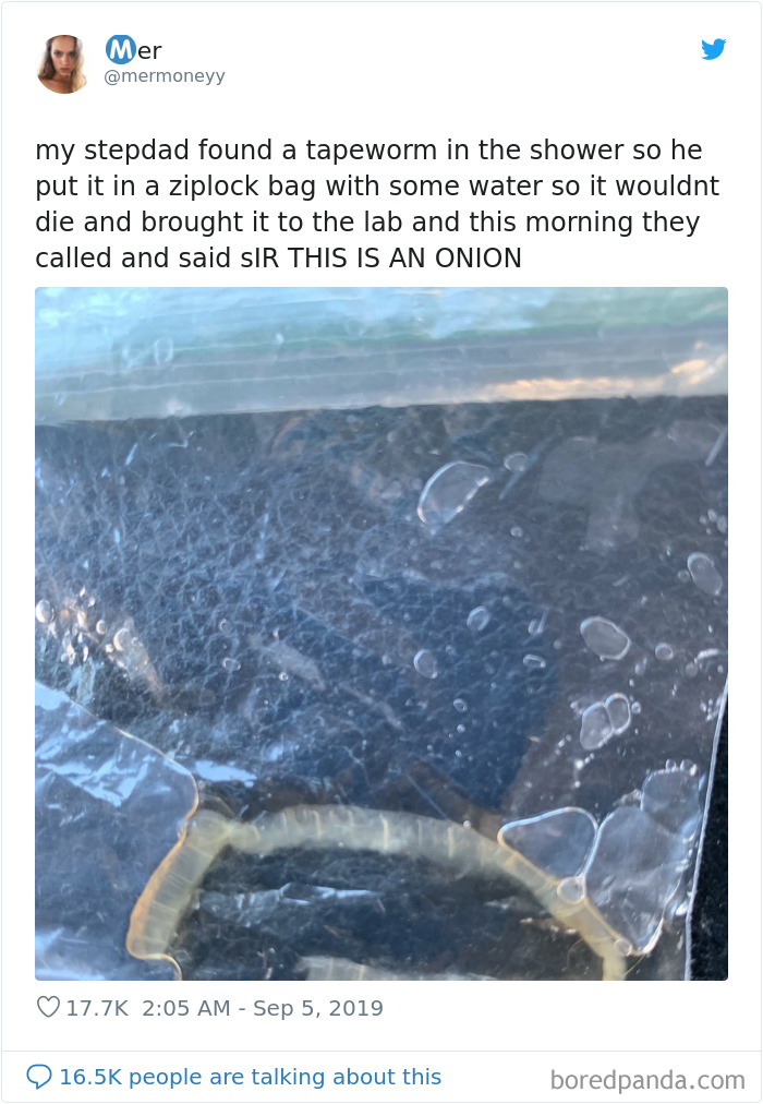 Funny-Tweets-By-Women