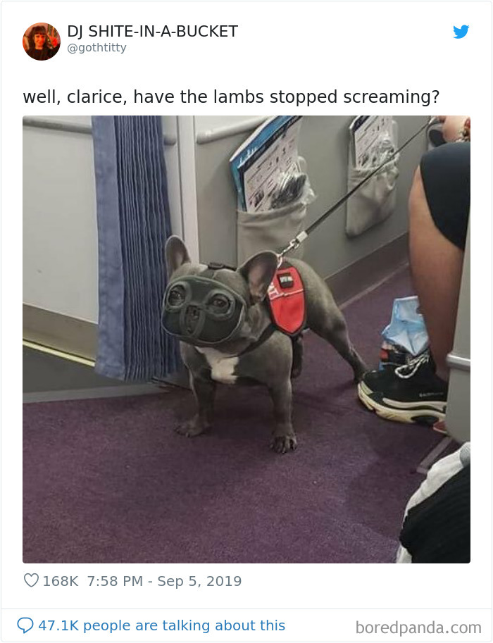 Funny-Tweets-By-Women