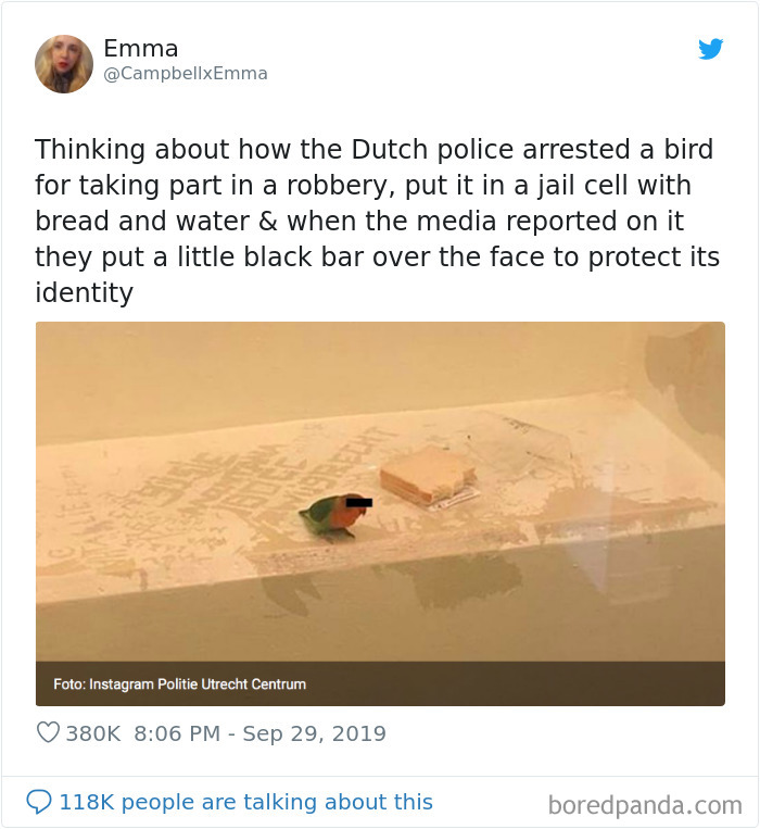 Funny-Tweets-By-Women