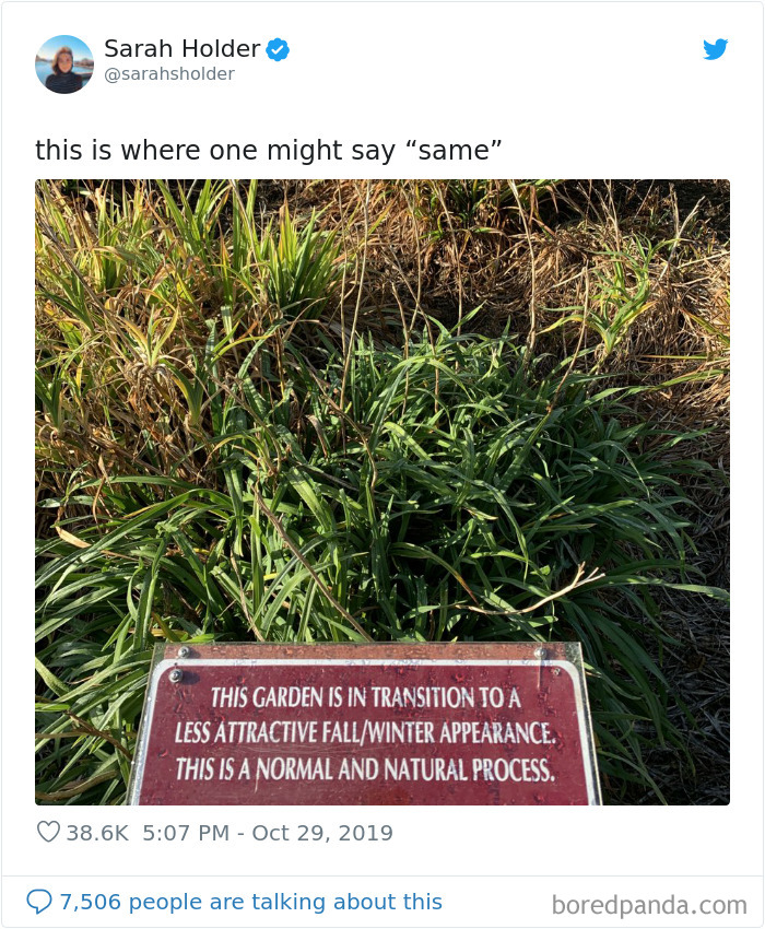 Funny-Tweets-By-Women