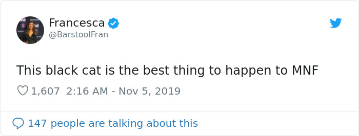 This Cat Interrupted A Monday Night Football Match And Made End Zone Run