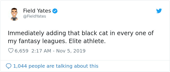 This Cat Interrupted A Monday Night Football Match And Made End Zone Run