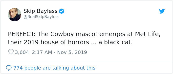 This Cat Interrupted A Monday Night Football Match And Made End Zone Run