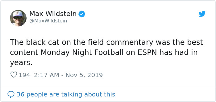 This Cat Interrupted A Monday Night Football Match And Made End Zone Run