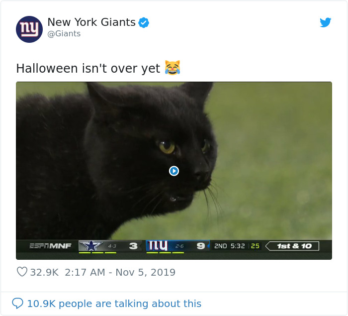 This Cat Interrupted A Monday Night Football Match And Made End Zone Run