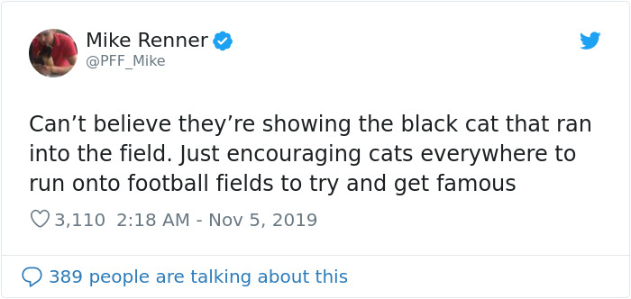 This Cat Interrupted A Monday Night Football Match And Made End Zone Run