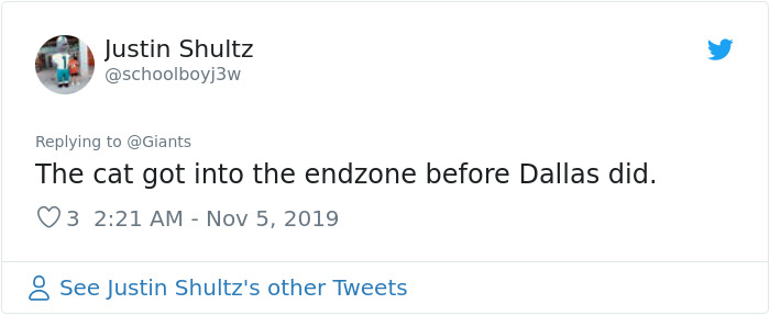 This Cat Interrupted A Monday Night Football Match And Made End Zone Run