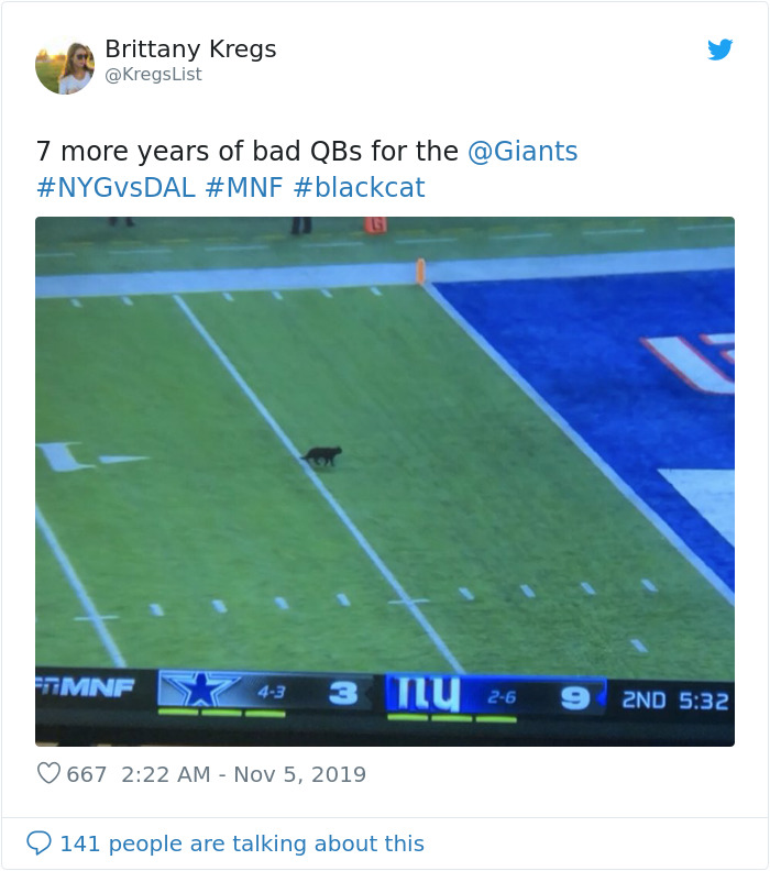 This Cat Interrupted A Monday Night Football Match And Made End Zone Run