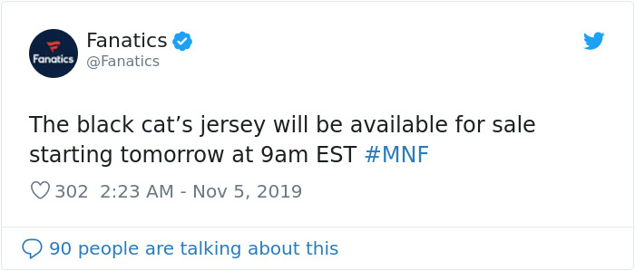 This Cat Interrupted A Monday Night Football Match And Made End Zone Run