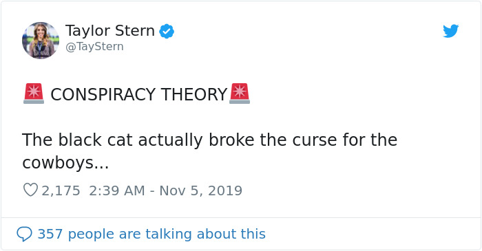 This Cat Interrupted A Monday Night Football Match And Made End Zone Run