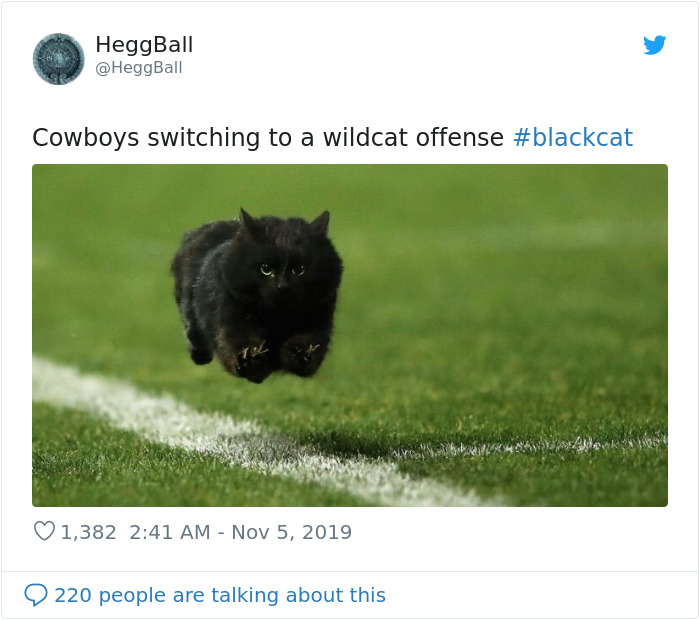 This Cat Interrupted A Monday Night Football Match And Made End Zone Run