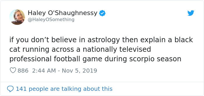 This Cat Interrupted A Monday Night Football Match And Made End Zone Run