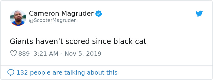 This Cat Interrupted A Monday Night Football Match And Made End Zone Run