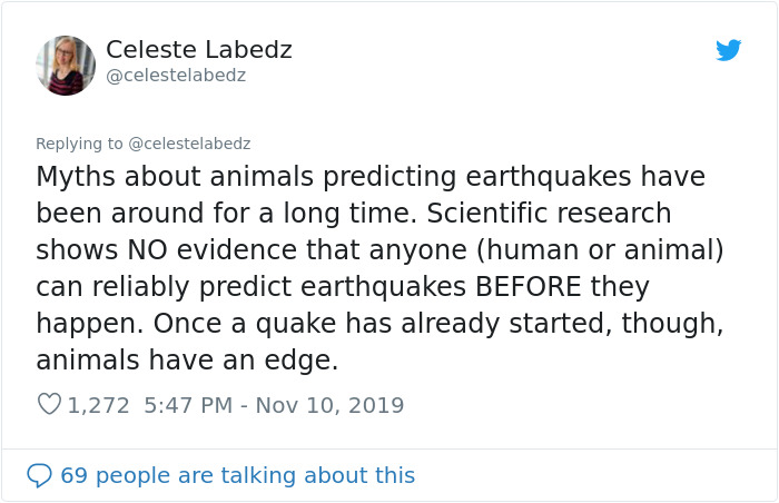 Seismologist Explains How To Make An Earthquake Early Warning System With Cats