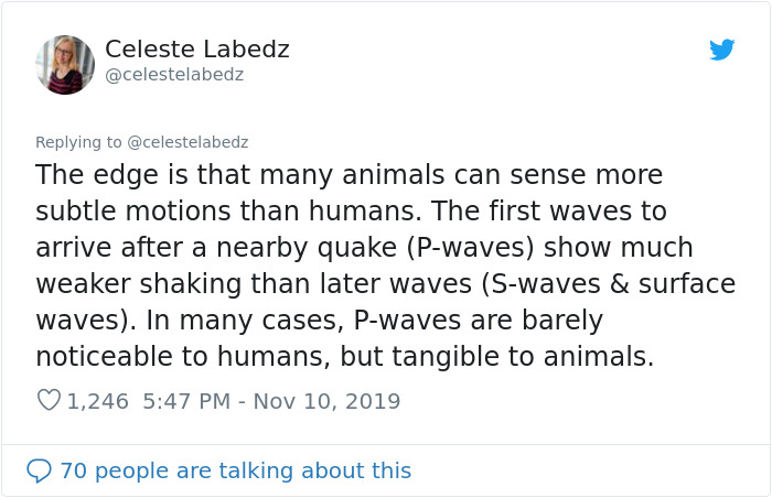 Seismologist Explains How To Make An Earthquake Early Warning System With Cats