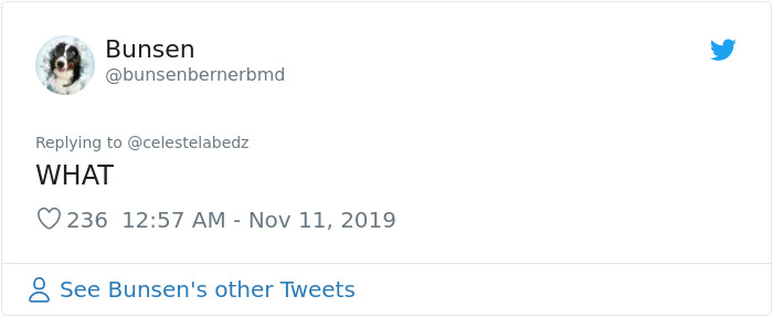Seismologist Explains How To Make An Earthquake Early Warning System With Cats