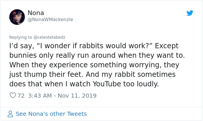 Seismologist Explains How To Make An Earthquake Early Warning System With Cats