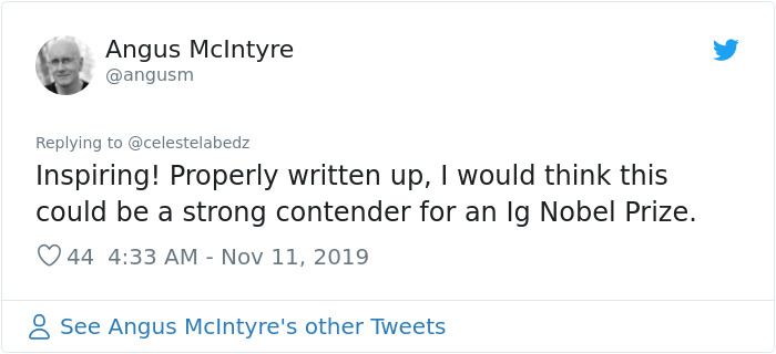 Seismologist Explains How To Make An Earthquake Early Warning System With Cats Seismologist Explains How To Make An Earthquake Early Warning System With Cats