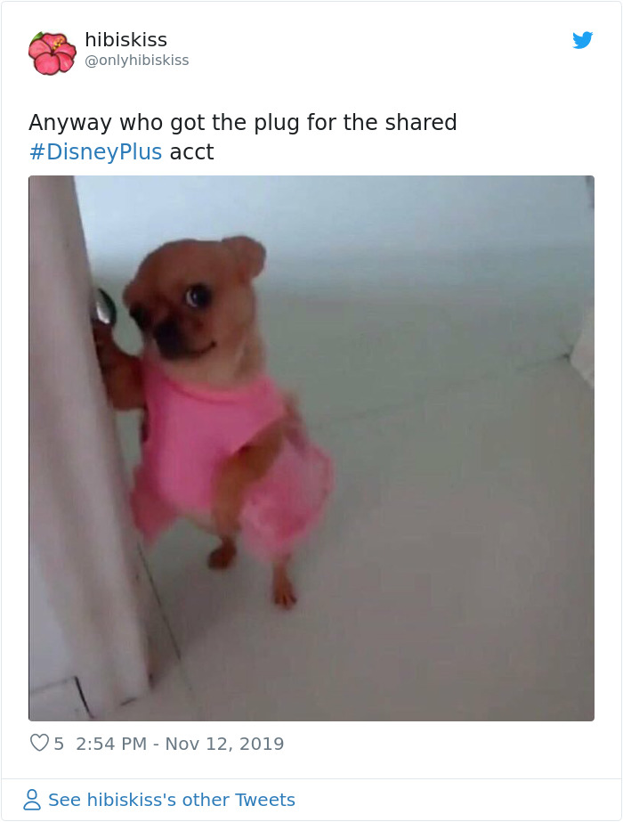 Disney-Plus-Launch-Reactions-Memes