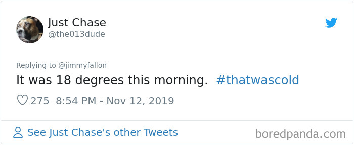 That-Was-Cold-Funny-Tweets-Jimmy-Fallon