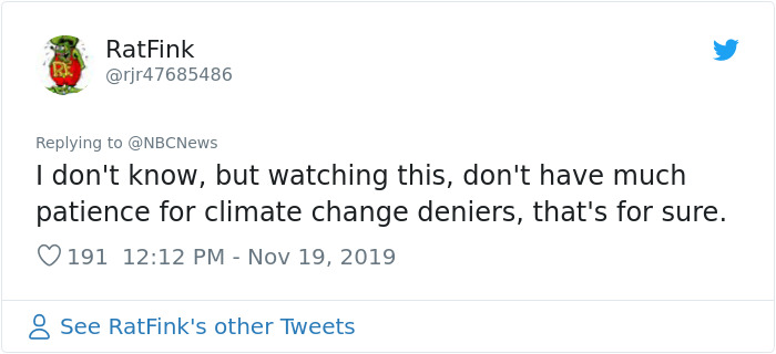 Woman Saves A Scorched And Screaming Koala With The Shirt Off Her Own Back